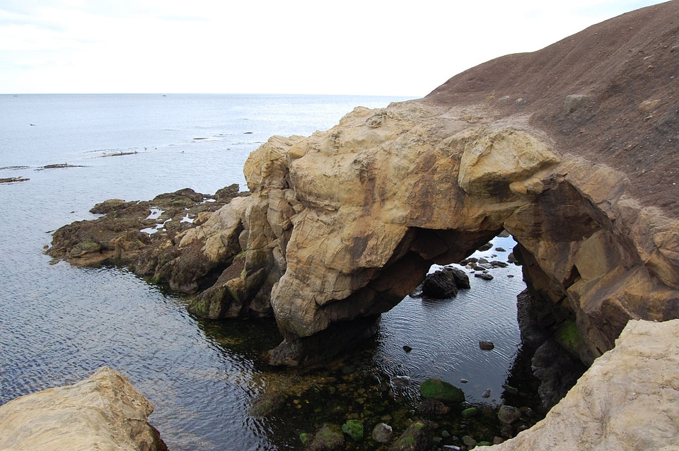 North Sea coast near Newcastle