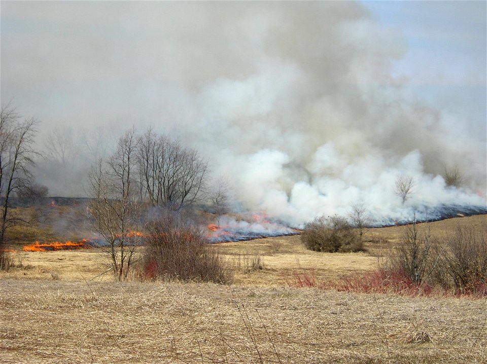 Red Cedar Lake East Unit Dane County