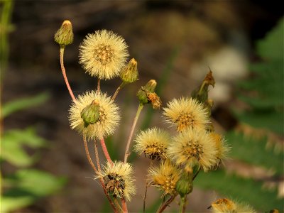 20220907-FS-Superior-SAR-004