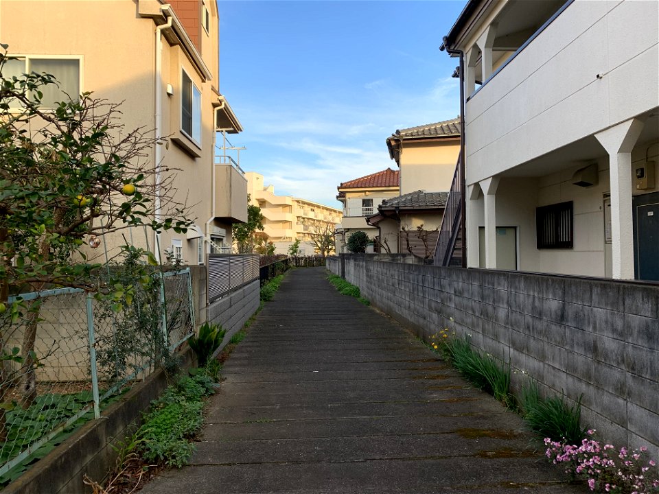 Yoyanagi River Walking Path in Saiwaicho, Higashikurume-shi