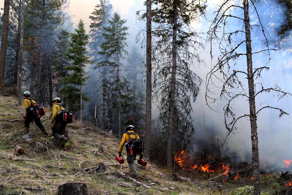 ColvilleNationalForestPrescribedBurnsMay32023DripTorchIgnitions