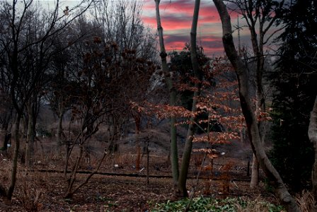Hantaek Botanical Garden