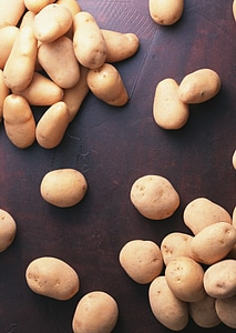 fresh organic potatoes on table photo