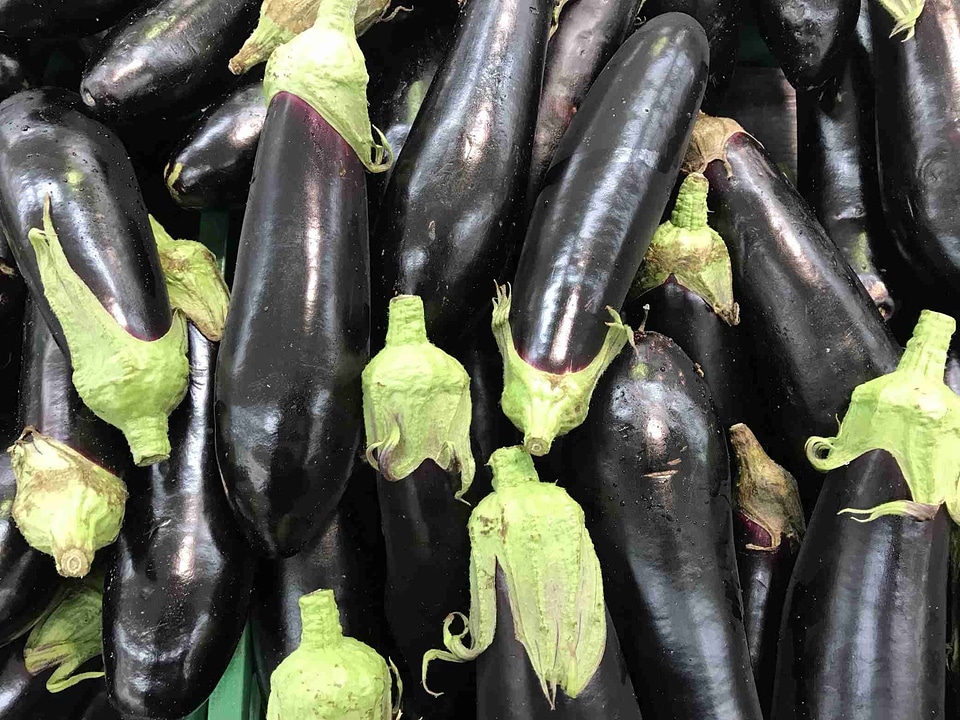 Heap of fresh eggplants close up