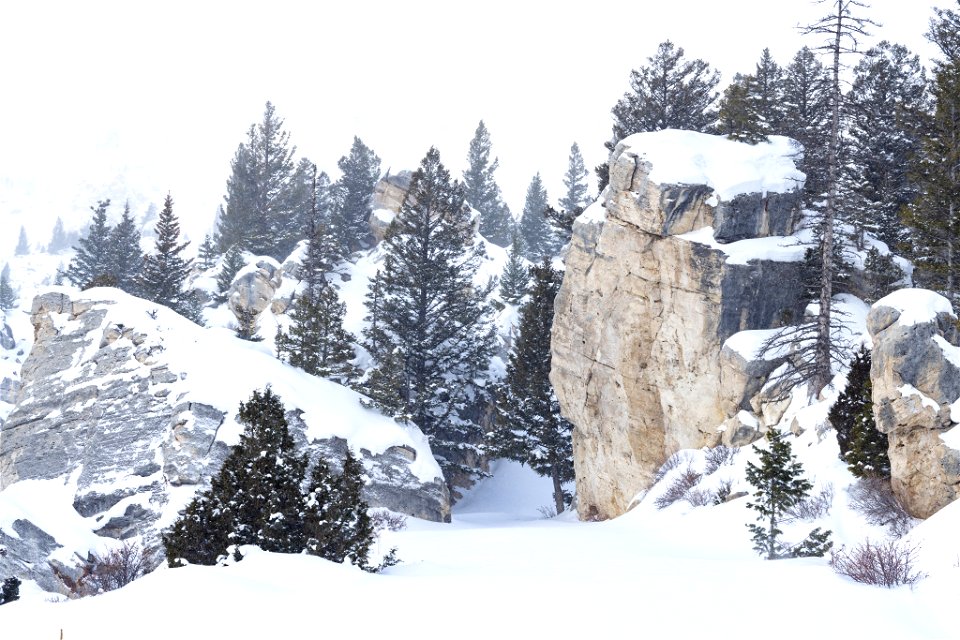 Snowy day at the Hoodoos
