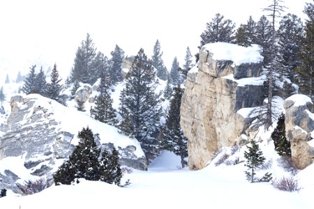 Snowy day at the Hoodoos photo