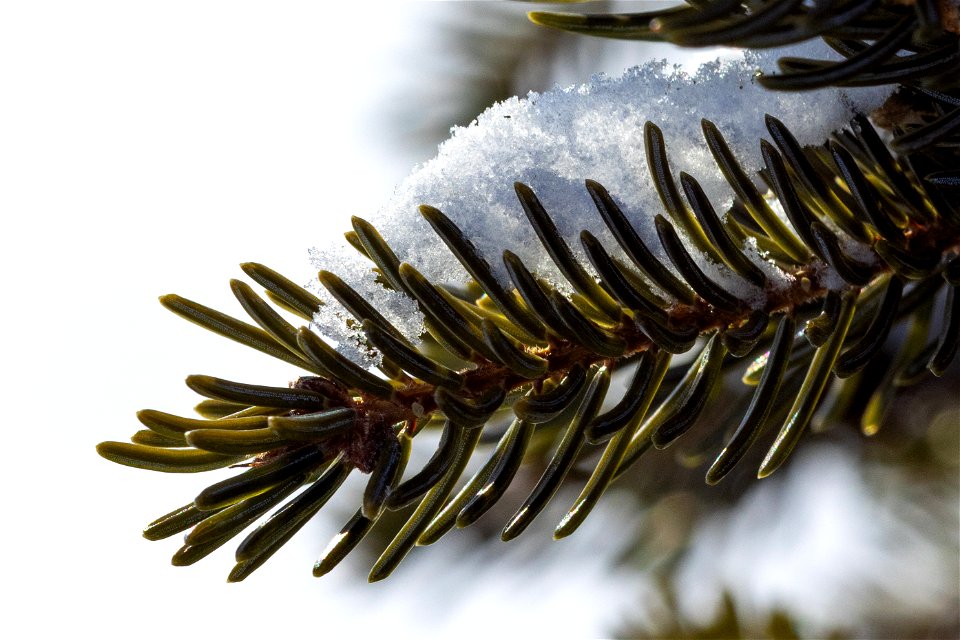 Textures of snow at Selawik National Wildlife Refuge