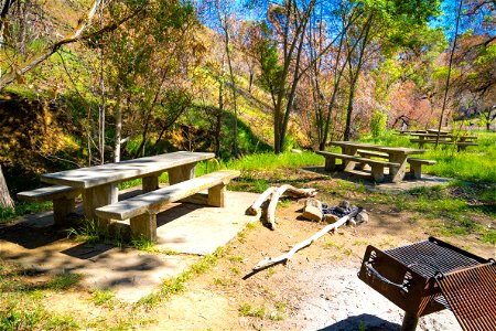Coalinga Mineral Springs