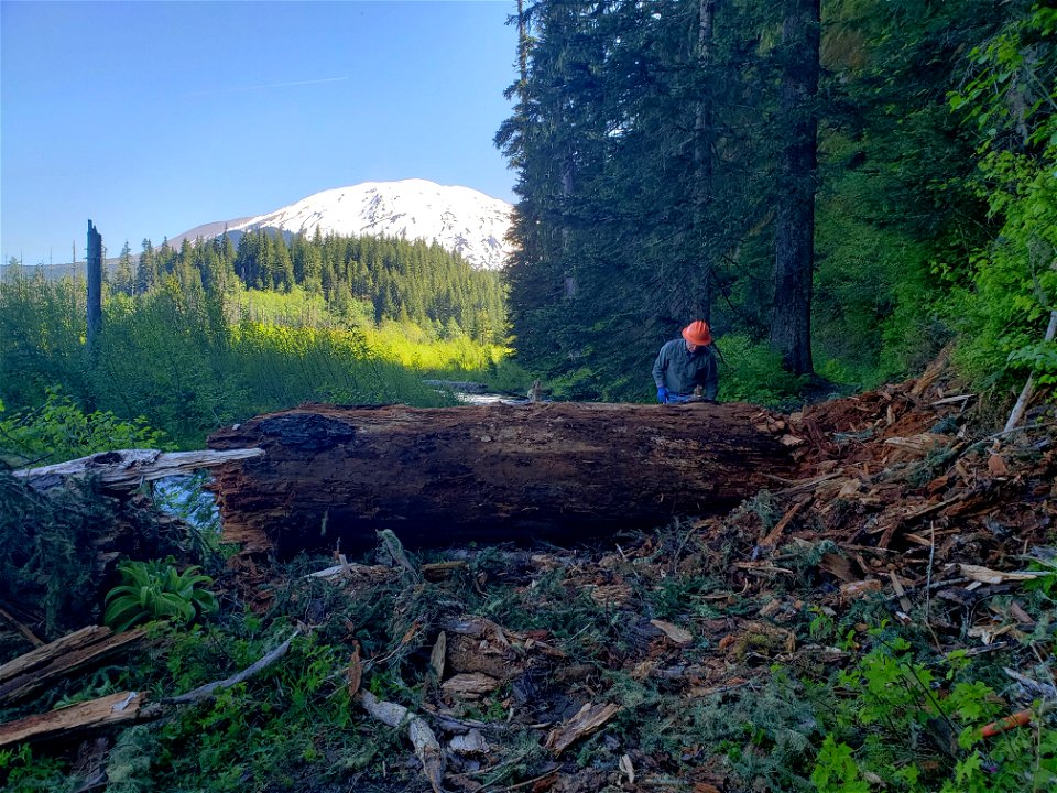 20220624-GP-Kalama Horse Camp work party clearing downed logs Photo by Kathy Young