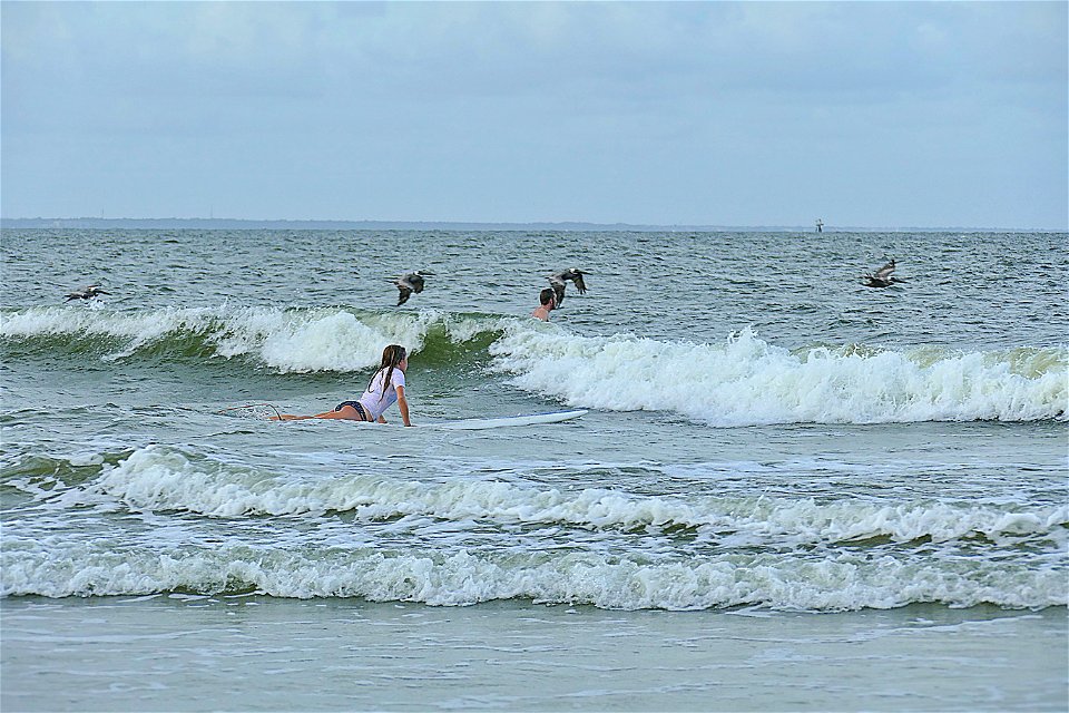 Rachel and Pelicans-P1930653