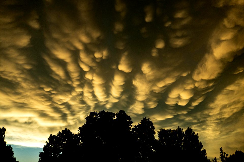 mammatus (9) photo