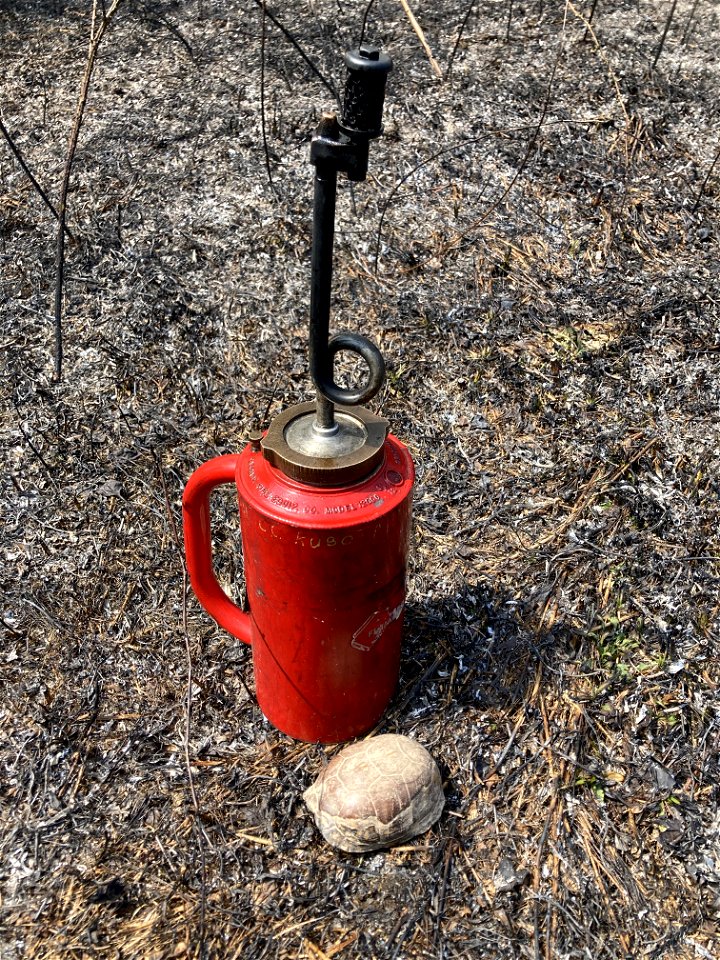 2021 USFWS Fire Employee Photo Contest Category: Animals and Vegetation