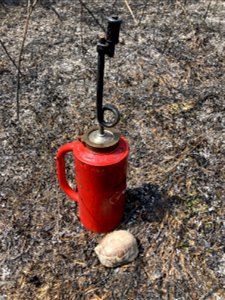2021 USFWS Fire Employee Photo Contest Category: Animals and Vegetation