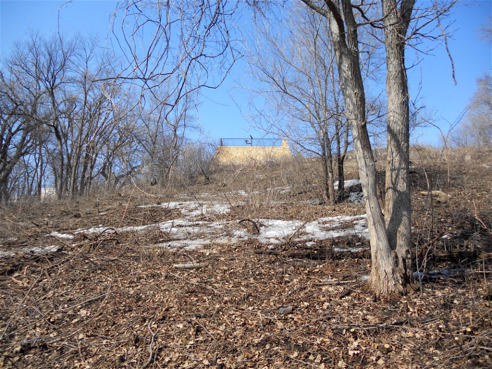 Brushy Hillside