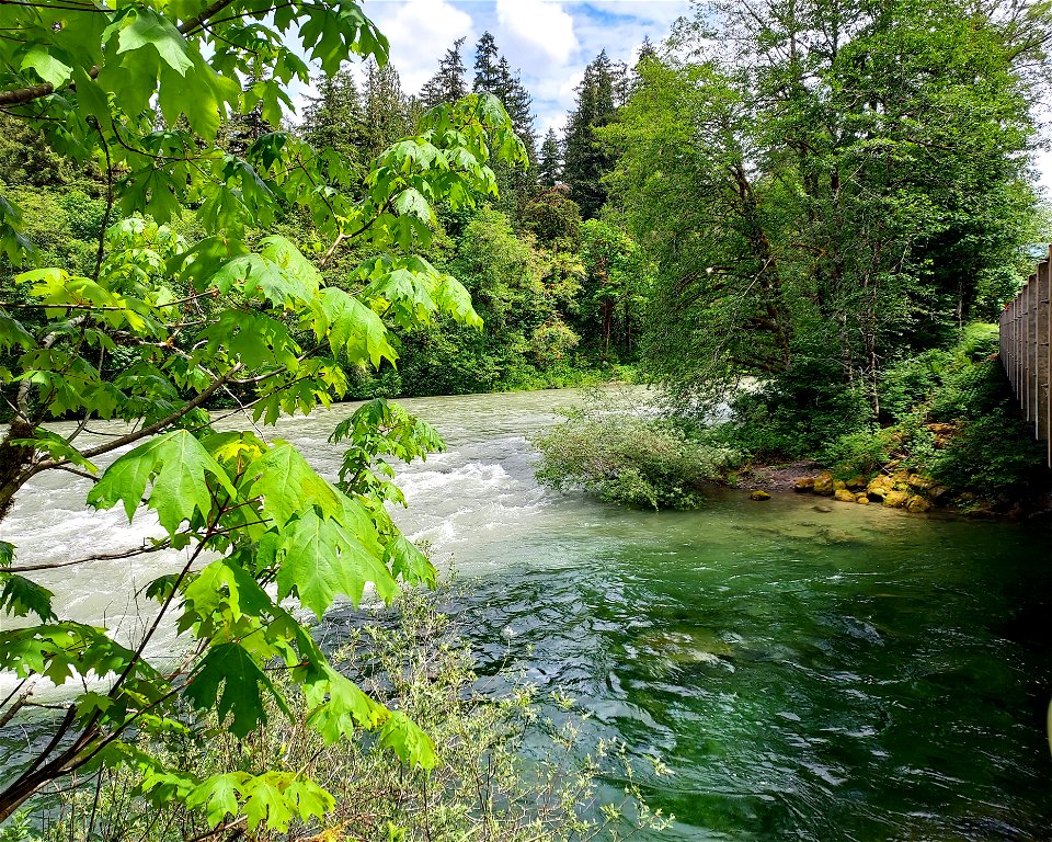 Confluence of Clear Creek with the Sauk River, Mt. Baker-Snoqualmie National Forest. Photo by Anne Vassar June 4, 2021.
