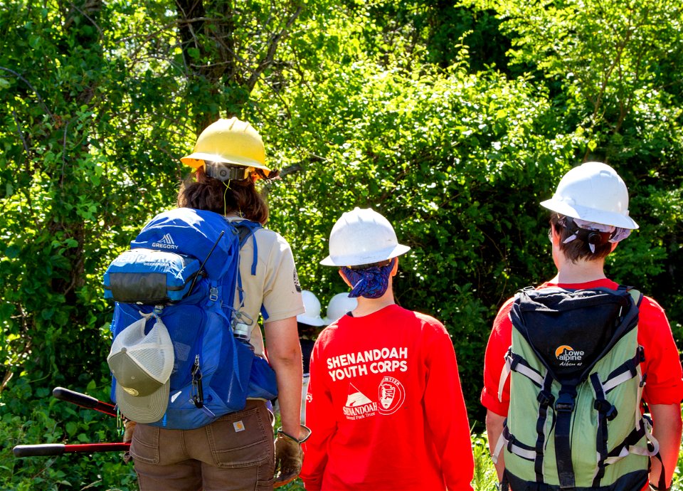 Shenandoah Youth Corps photo