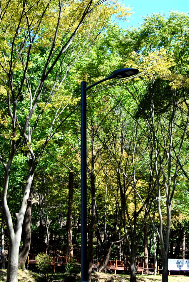 Teajosan Mountain Hiking