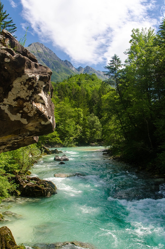 River rafting in the forests