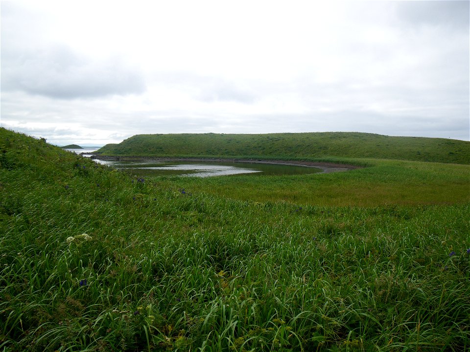 Island in Izembek Lagoon