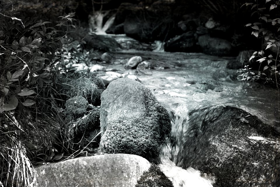 Textured, monochrome
