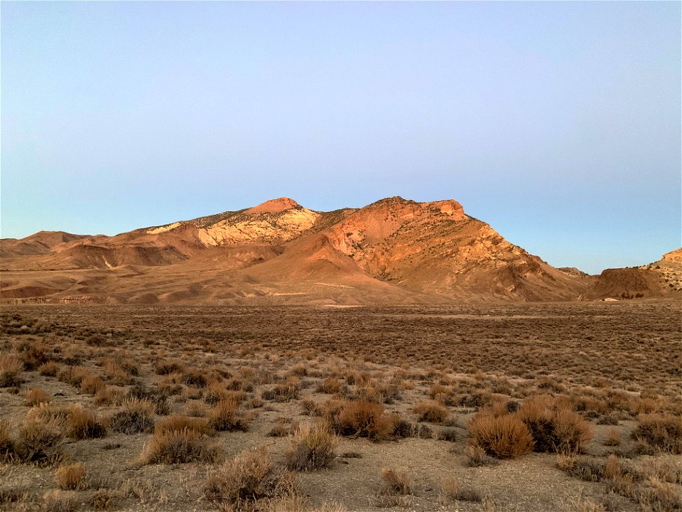 Tiehm's buckwheat habitat