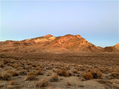 Tiehm's buckwheat habitat photo