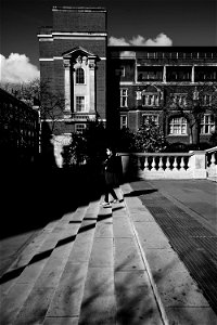 _DSC0340