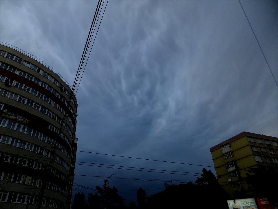 nori-Mihalache2015_0512_194409