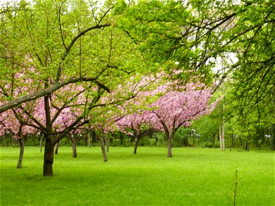 fabulous-foliage_2018_0418_081018