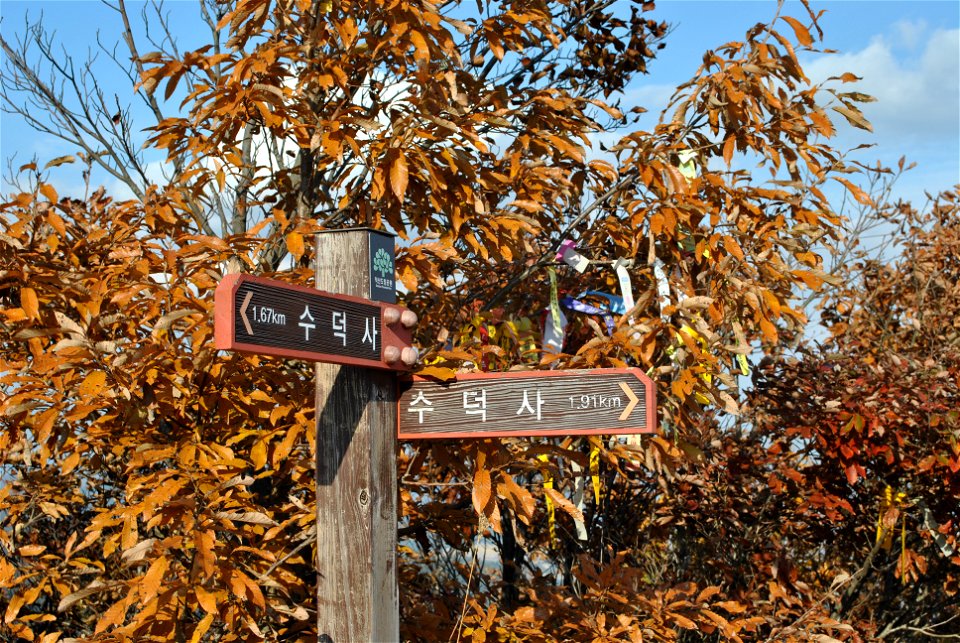 Deoksungsan Mountain