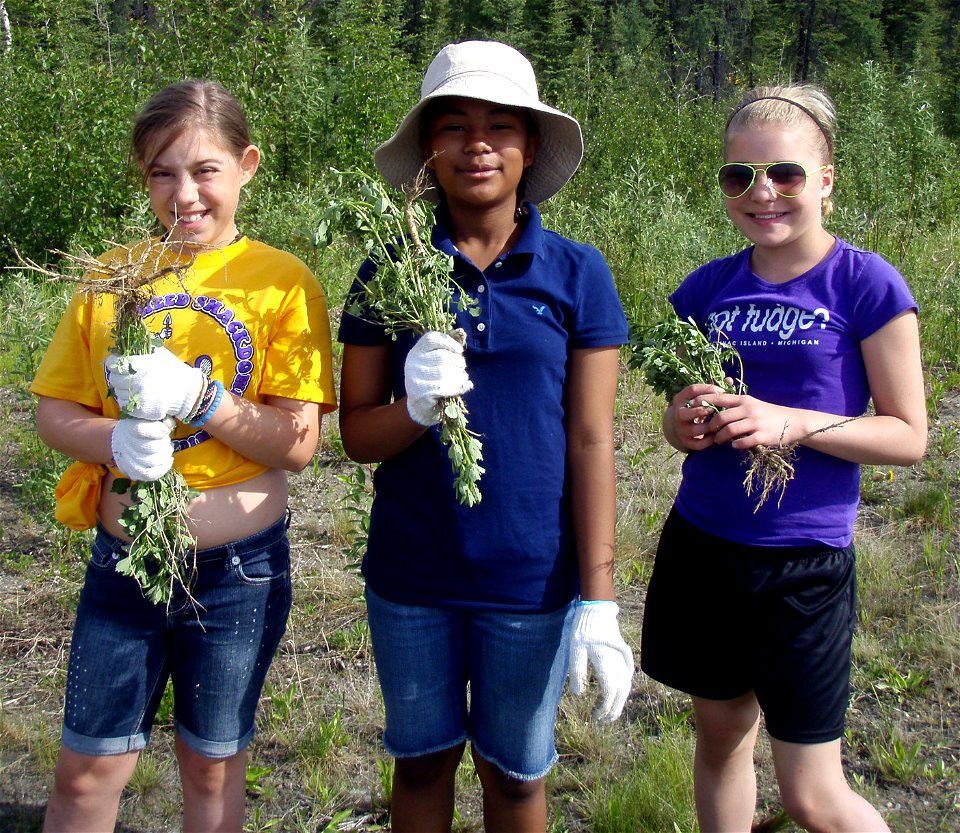 Girl Scout weed pullers