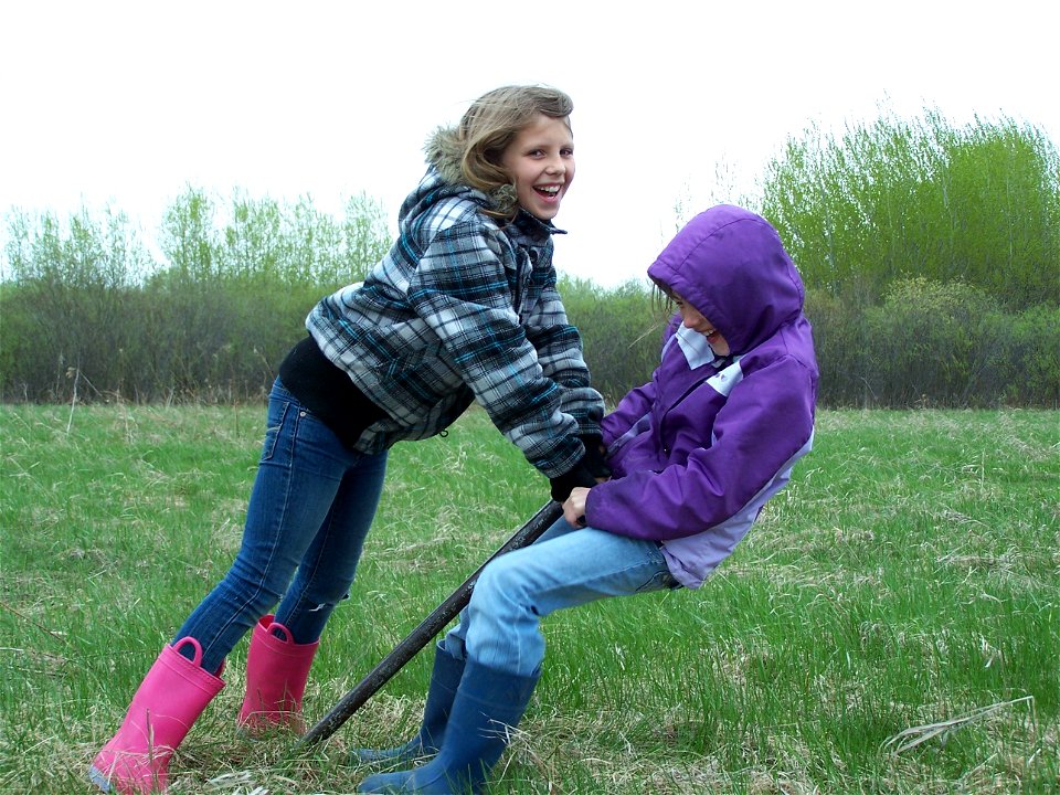 More Teamwork while tree planting