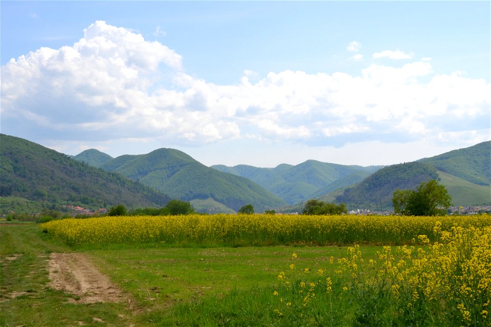 Sunny day photo