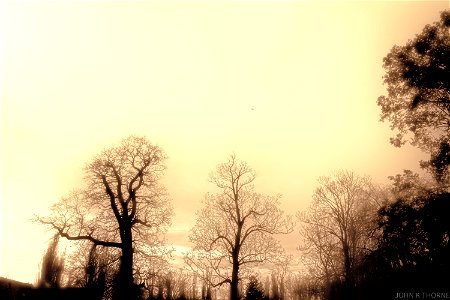 A hazy shade of Winter photo