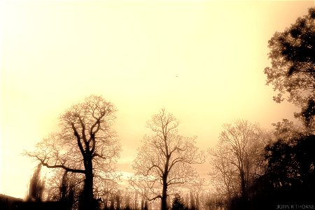 A hazy shade of Winter