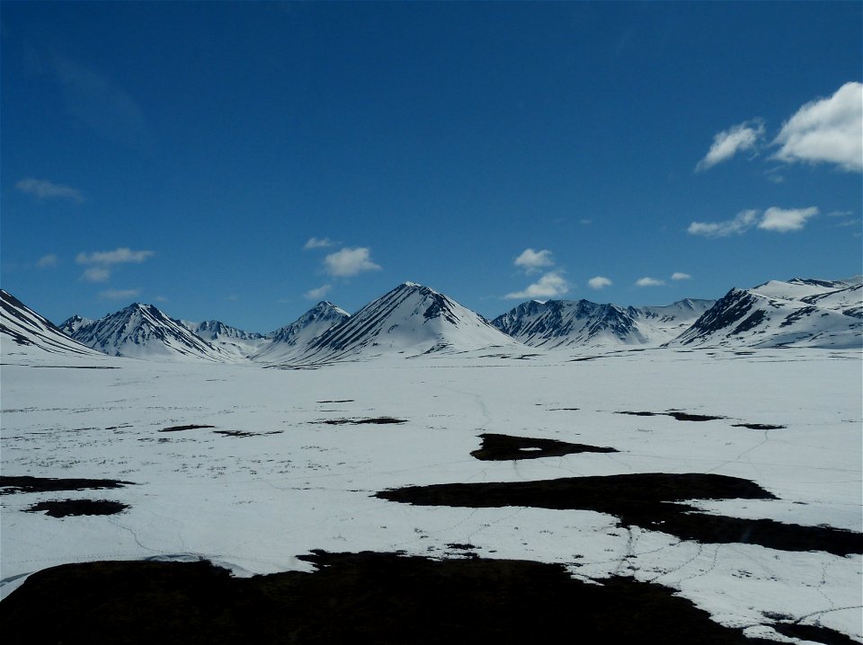 Kilbuck Mountains