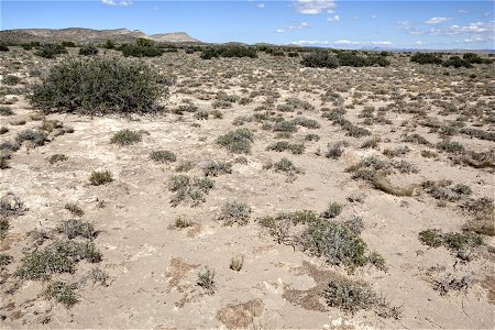 South of the Sierra Larga
