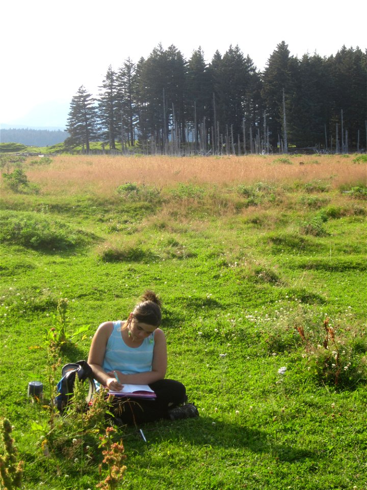 Working on her field journal