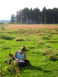 Working on her field journal