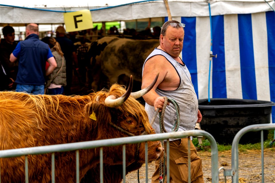 Cow people (4 of 5)