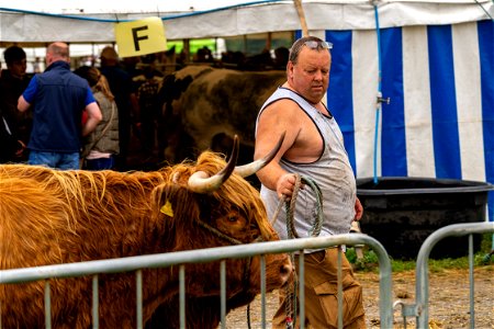 Cow people (4 of 5)