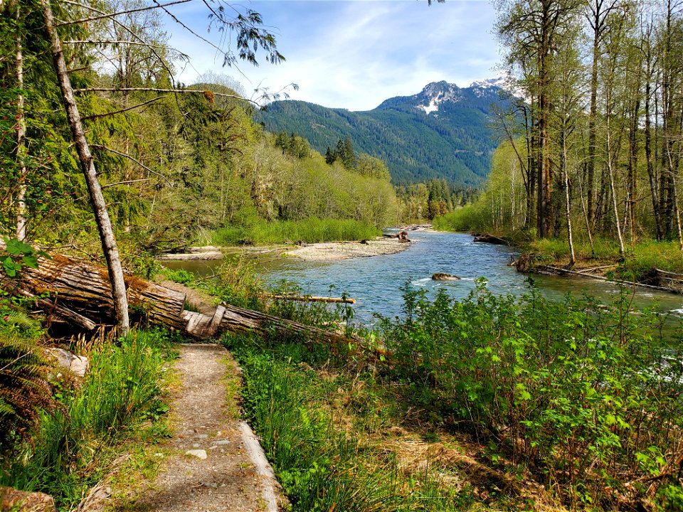 Sauk River from the Beaver Lake Trail, Mt. Baker-Snoqualmie National Forest. Photo by Anne Vassar April 29, 2021.
