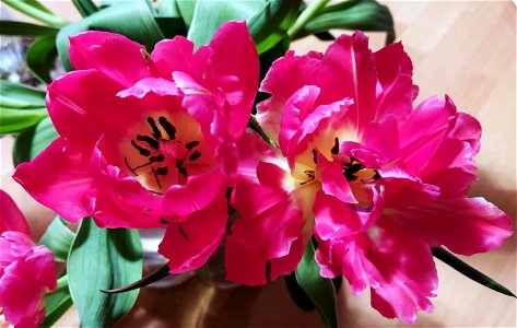 IMG_20220213_194652