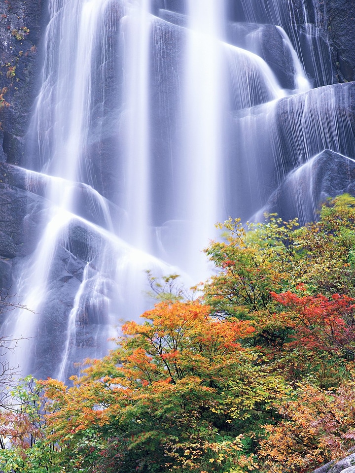 Beautiful waterfall in autumn forest