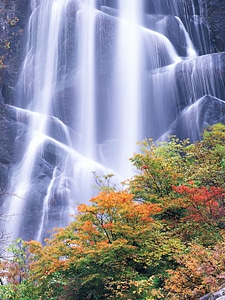 Beautiful waterfall in autumn forest photo