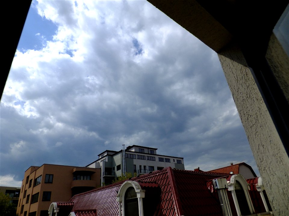 nori-sediu2015_0511_145614(1)