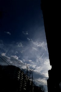IMG_5310