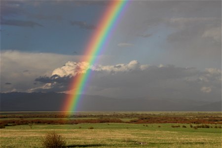 Rainbow Delight photo