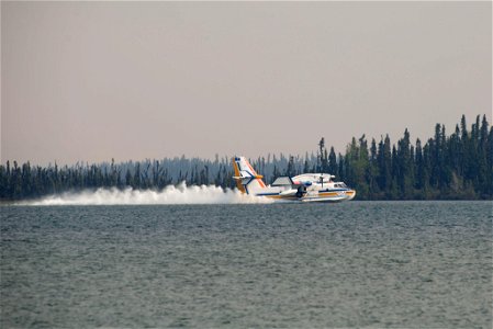 Water scooping plane, nicknamed a duck gets a load of water