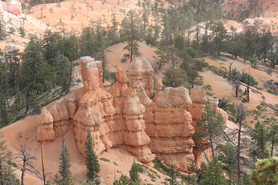 The Bryce Canyon National Park, Utah